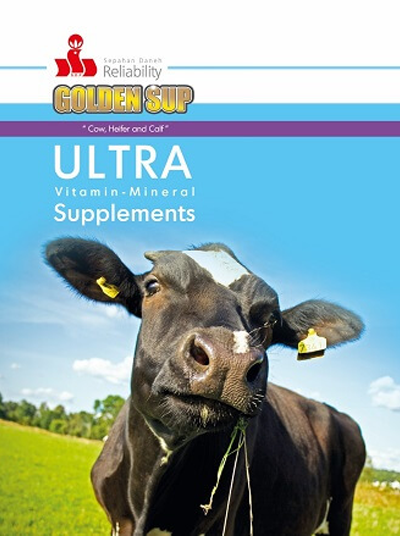 مکمل ویتامینی و معدنی الترا (ULTRA)