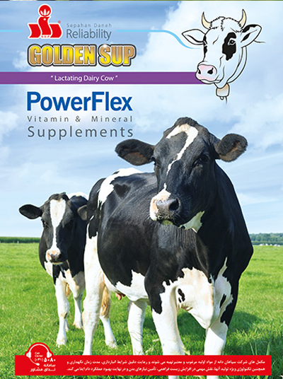 مکمل گاو شیری پاورفِلِکس