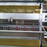 قفس پرورش مرغ گوشتی با تخلیه اتوماتیک مرغ