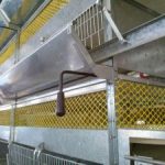قفس پرورش مرغ گوشتی با تخلیه اتوماتیک مرغ